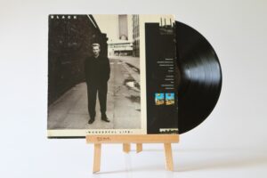 BLACK - WONDERFUL LIFE - LP45